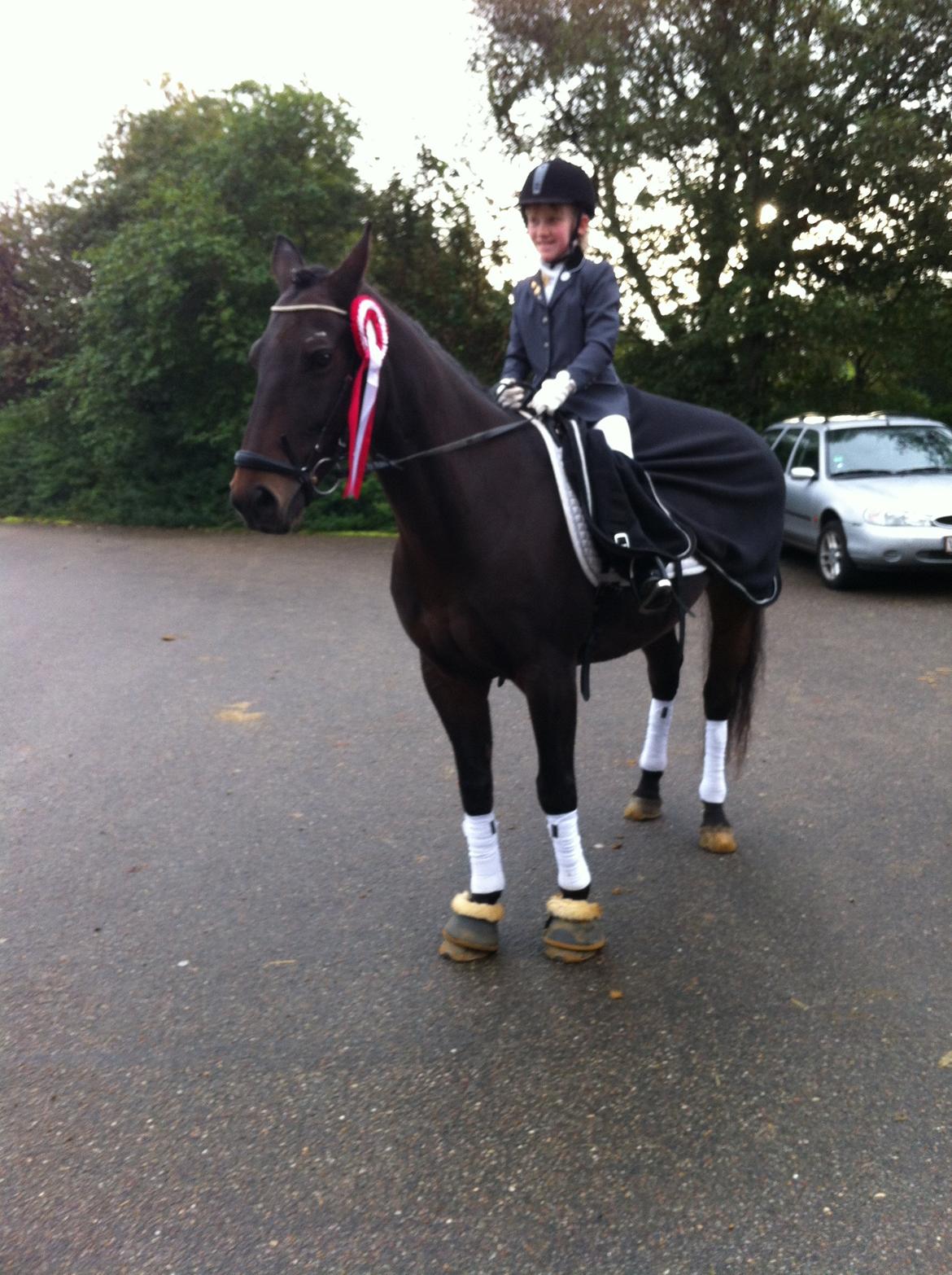 Anden særlig race Zeus (solgt) - Jeg skrev dit navn på papiret, men læren tog det! Jeg skrev dit navn med blade, men vinden tog det! Jeg skrev dit navn i sandet, men vandet tog det! Jeg skrev dit navn i mit hjerte, og der vil det ALTID stå! Du er ubeskrivlilg Zeus!!!!!! <3<3<3<3 billede 17