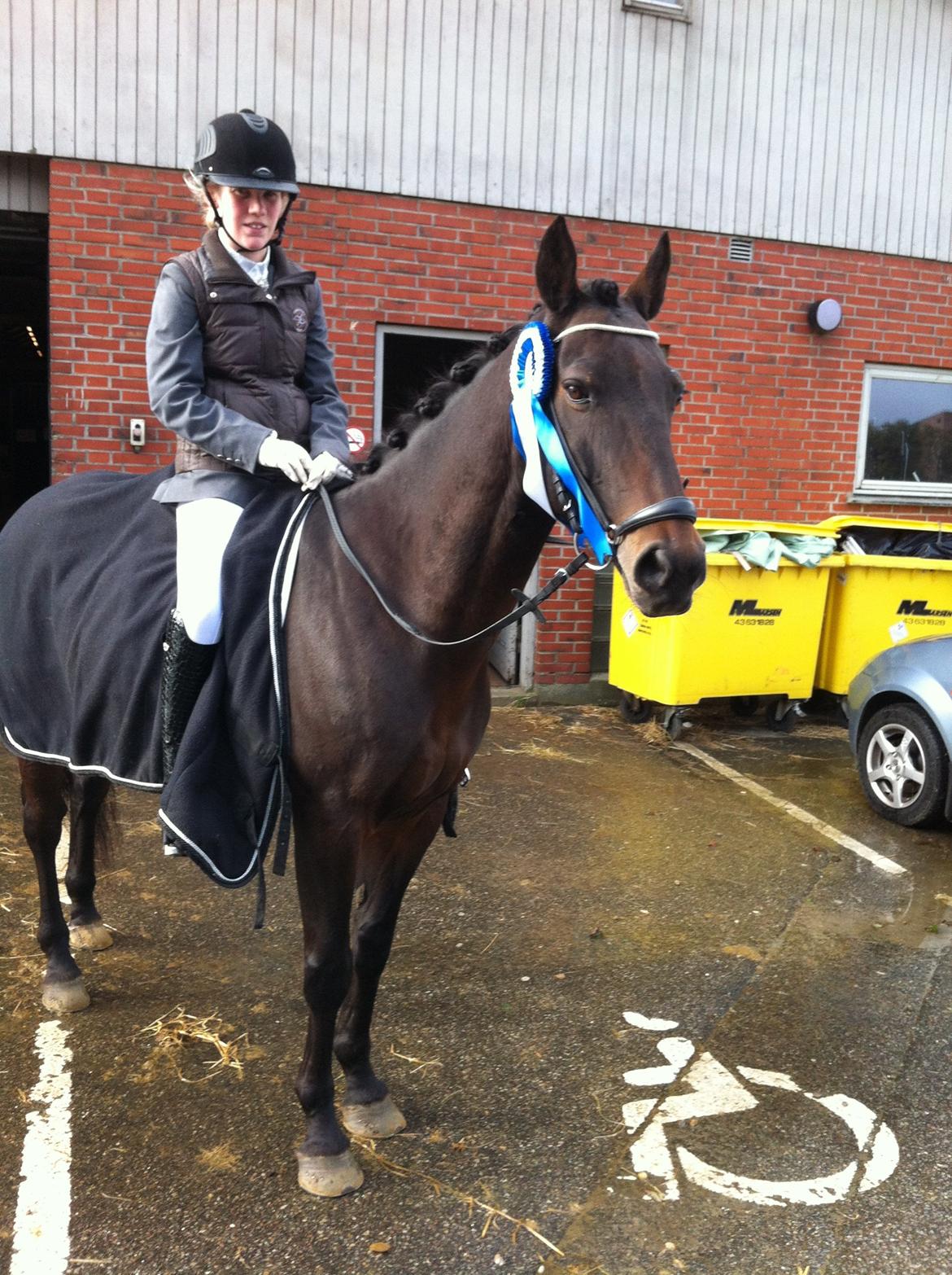 Anden særlig race Zeus (solgt) - Zeus og Camilla :-) billede 18