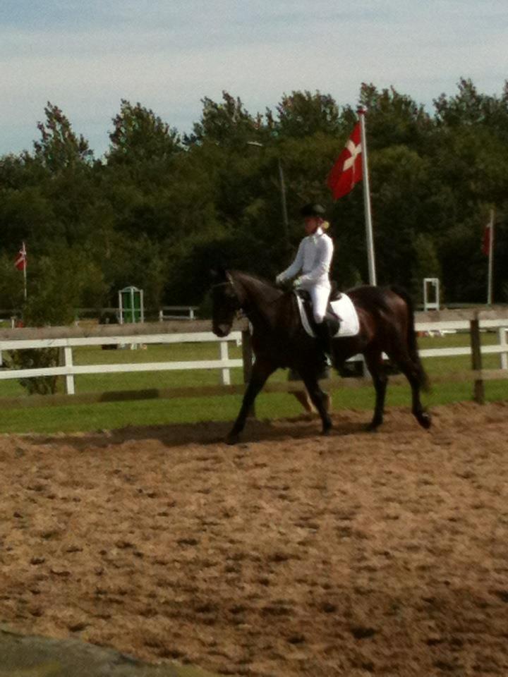 Anden særlig race Zeus (solgt) - Camilla og Zeus<3<3<3 billede 25