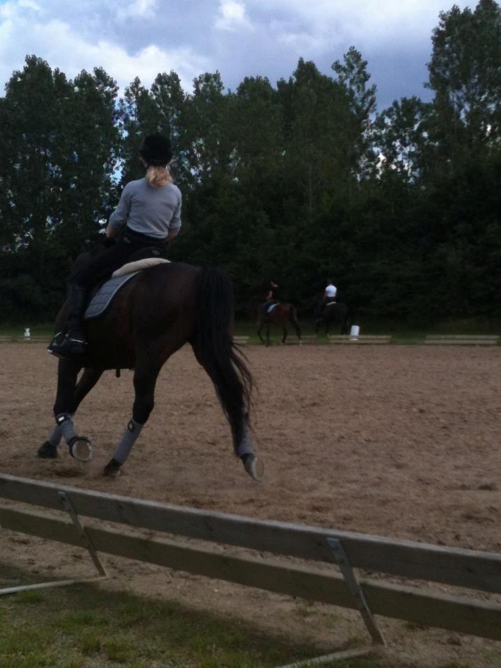 Anden særlig race Zeus (solgt) - Tak fordi i var forbi læg en bedømmelse eller kommentar. billede 27