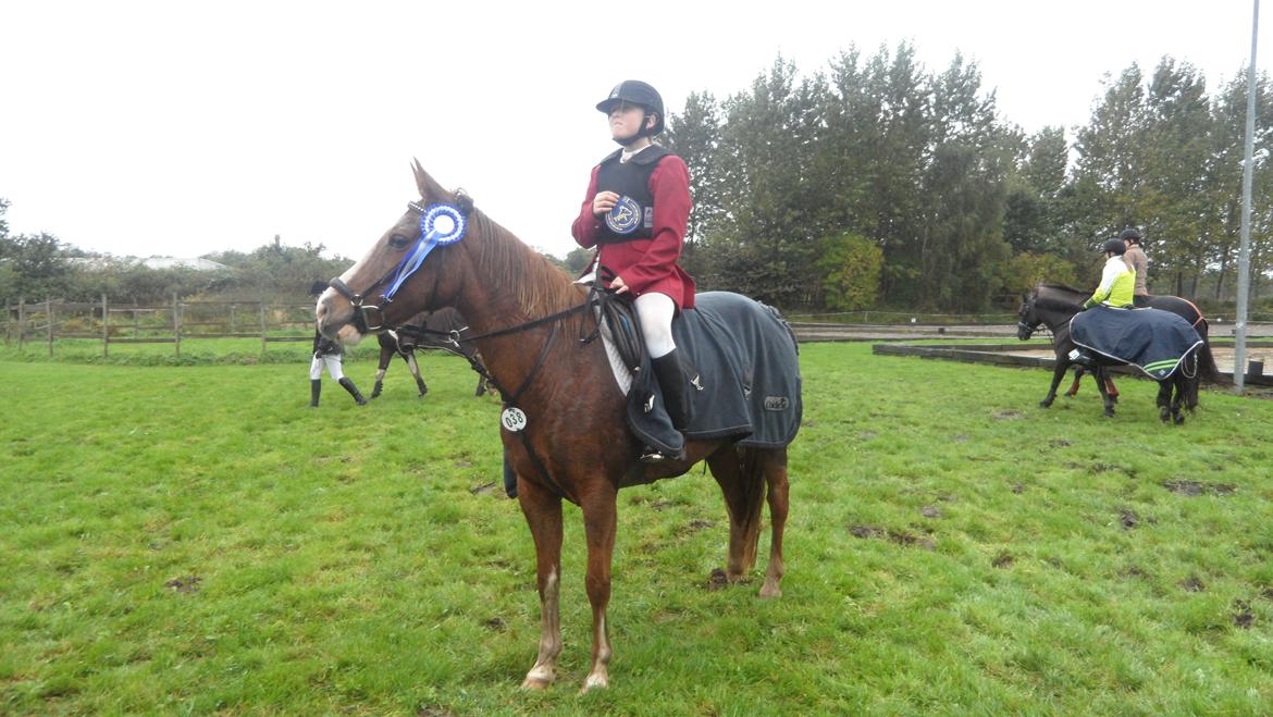 Anden særlig race La Fayette (Mit Et & ALT!!!) SOLGT - LC 2 plads  billede 13