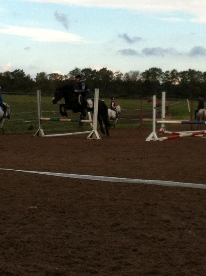 Connemara Jasmin - Springundervisning torsdag:-)
Taget af: Nicoline. billede 8