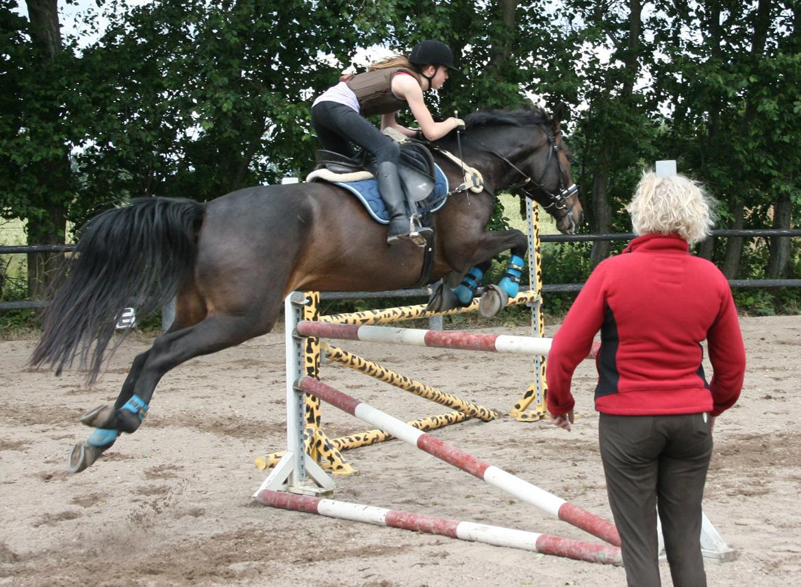 Anden særlig race Casino Royale(Black Star) - Nogle af de sidste springtimer, inden vi stoppede.. hii, åndsvage kombisadel, jeg bliver sprunget helt væk :/ billede 15