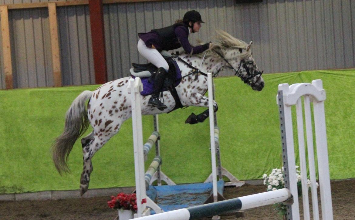 Appaloosa Collin-N - LA Slangerup-Lynge rideklub 2012
 billede 4