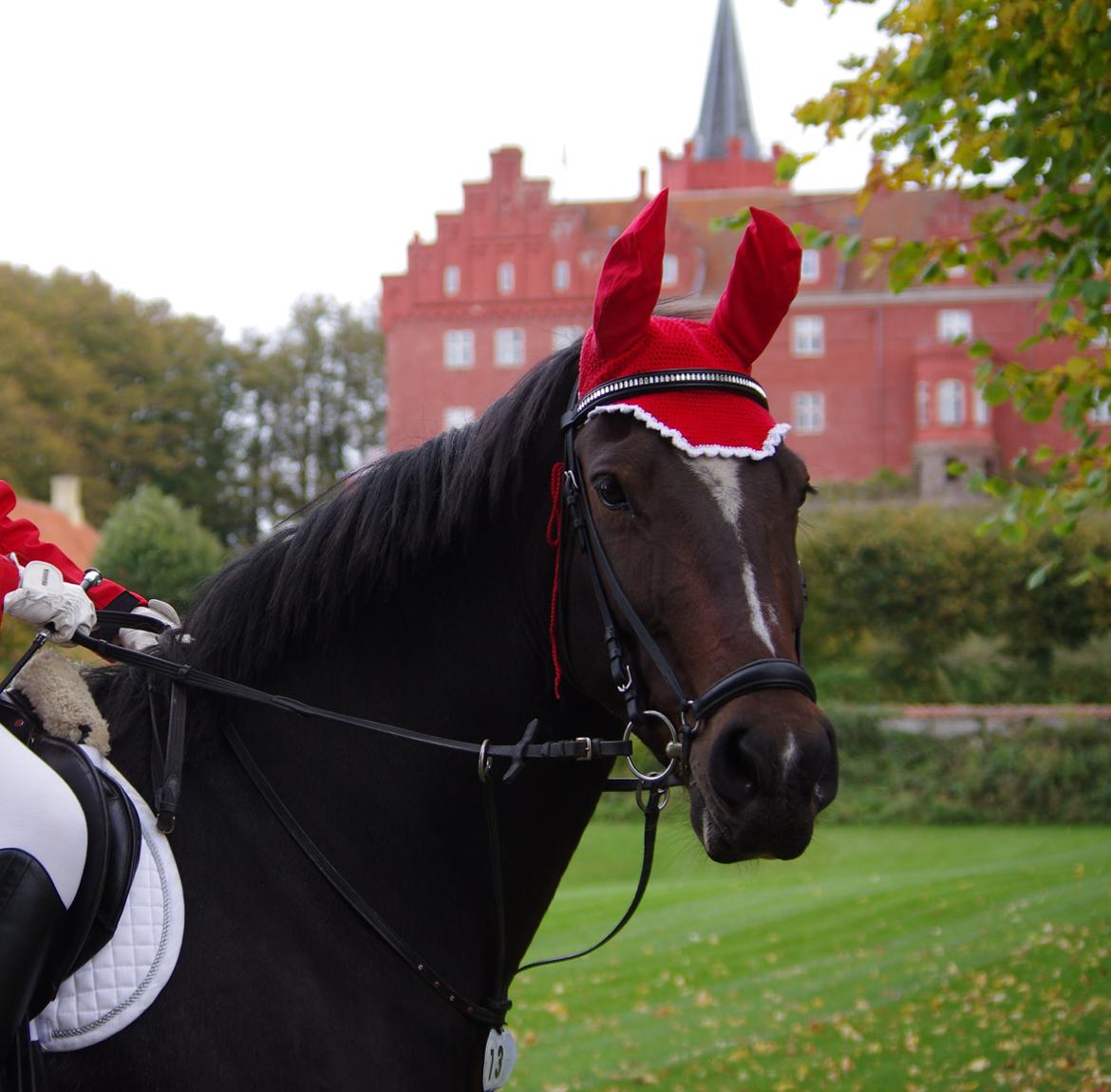 Oldenborg Rosenhavens Sindi billede 18