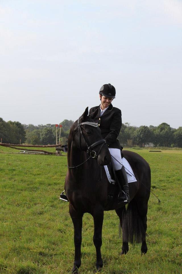 Anden særlig race IVER - 16.09.12 Inden dressurdelen. Min smukke hest :) billede 13
