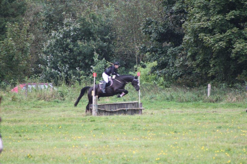 Anden særlig race IVER - 16.09.12 I fin stil :) billede 14