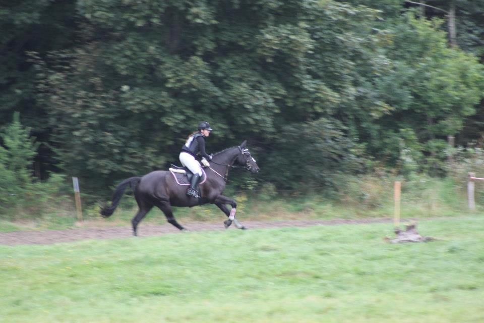Anden særlig race IVER - 16.09.12 Min dejlige basse i god galop :) Lige kommet igennem vandforhindringen uden problemer :) billede 15