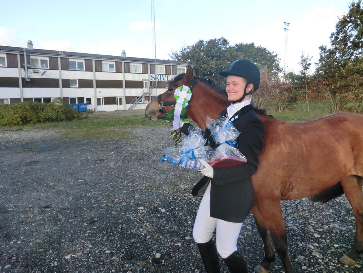 New Forest Glenwood Michelle - 1 uplaceret i LC2 med 63.19 %
3 plads i LC3 med 65.81 % billede 5