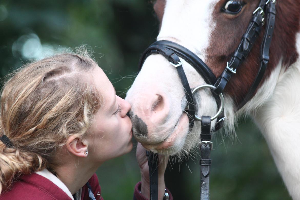 Anden særlig race Chanell billede 10