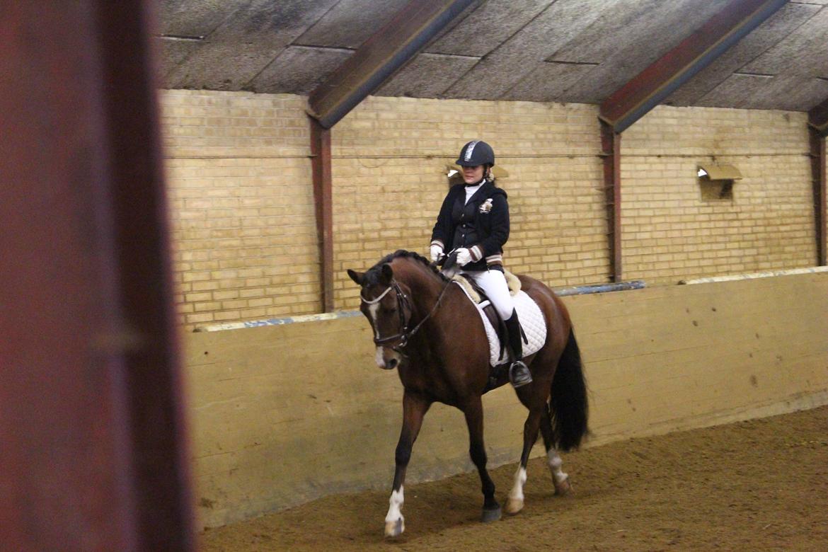 DSP Haahr`s Dumbledore billede 15