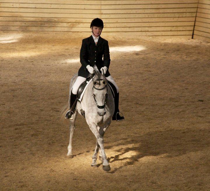 Arabisk fuldblod (OX) Filou (himmelhest) <3 - Til stævne i Ladelund. billede 16