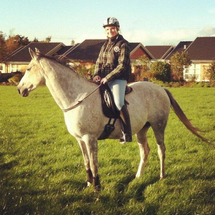 Arabisk fuldblod (OX) Filou (himmelhest) <3 - På tur 2012 :) billede 1