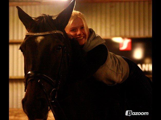 Dansk Varmblod Lerini A **RDS** - Jeg elsker dig smukke <3 billede 11