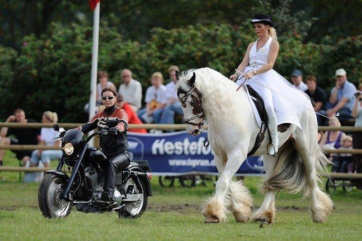 Drumhorse Sir Baron Baxter Bazz No. 1 - DRUM CERTIFIKAT billede 5