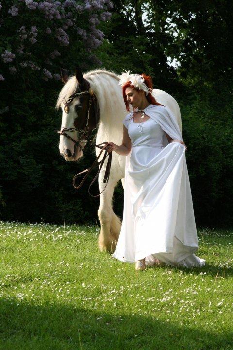 Drumhorse Sir Baron Baxter Bazz No. 1 - DRUM CERTIFIKAT billede 3