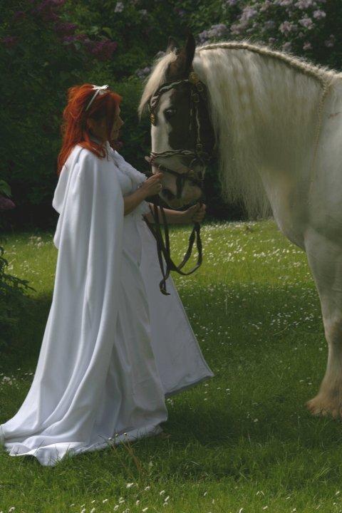 Drumhorse Sir Baron Baxter Bazz No. 1 - DRUM CERTIFIKAT billede 7