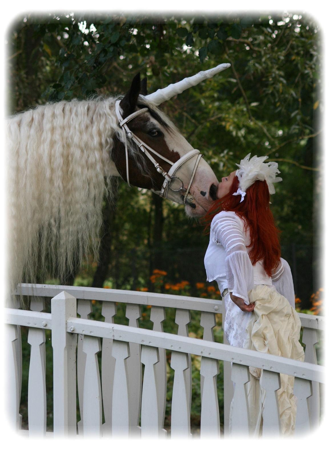 Drumhorse Sir Baron Baxter Bazz No. 1 - DRUM CERTIFIKAT billede 16