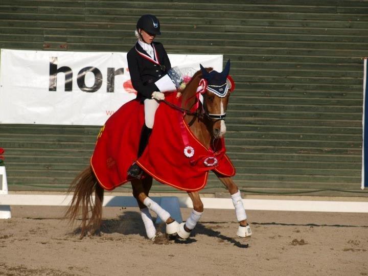 Tysk Sportspony Magic`s red diamond de luxe - Distriktmester 2012 <3 billede 13