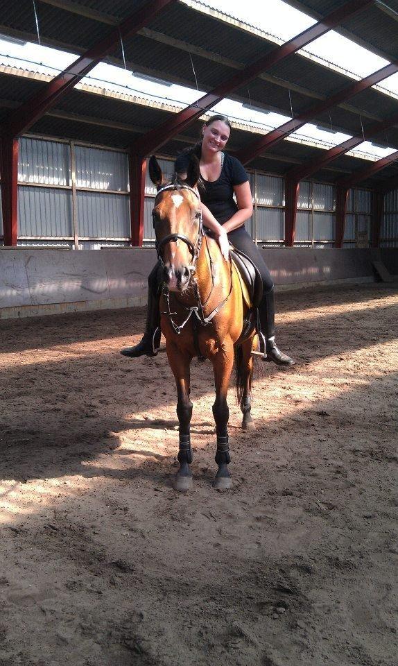 Fuldblod (XX) Tripoli billede 2