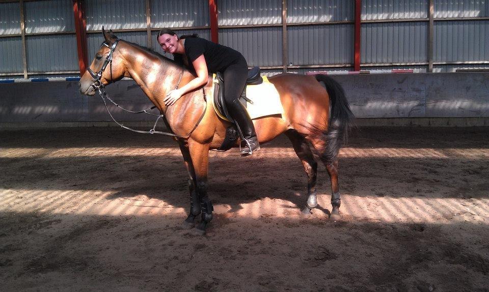 Fuldblod (XX) Tripoli billede 13