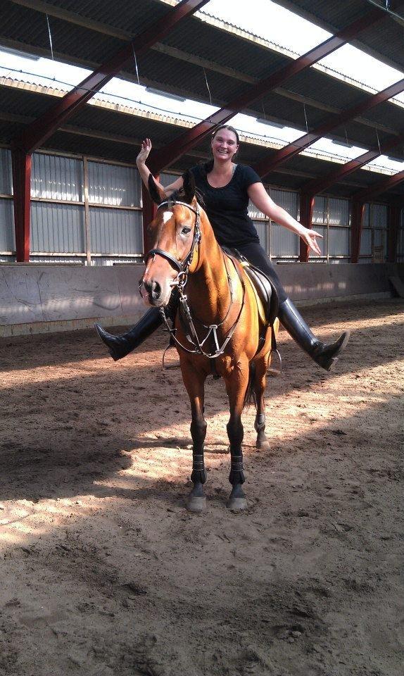 Fuldblod (XX) Tripoli billede 10