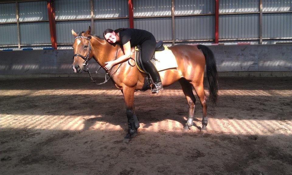 Fuldblod (XX) Tripoli billede 18