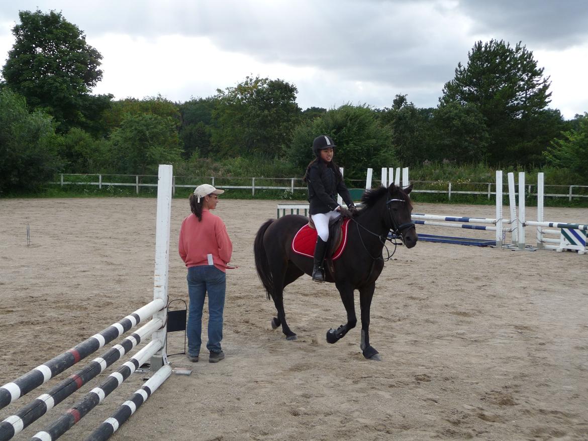 New Forest Bella - Efter et stævne :-)  på MMR billede 11