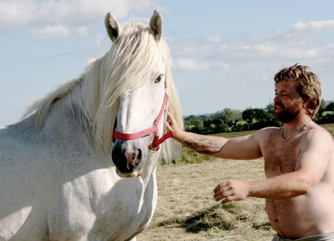 Drumhorse King Ixion Ilusive Ice - DRUM CERTIFIKAT billede 9