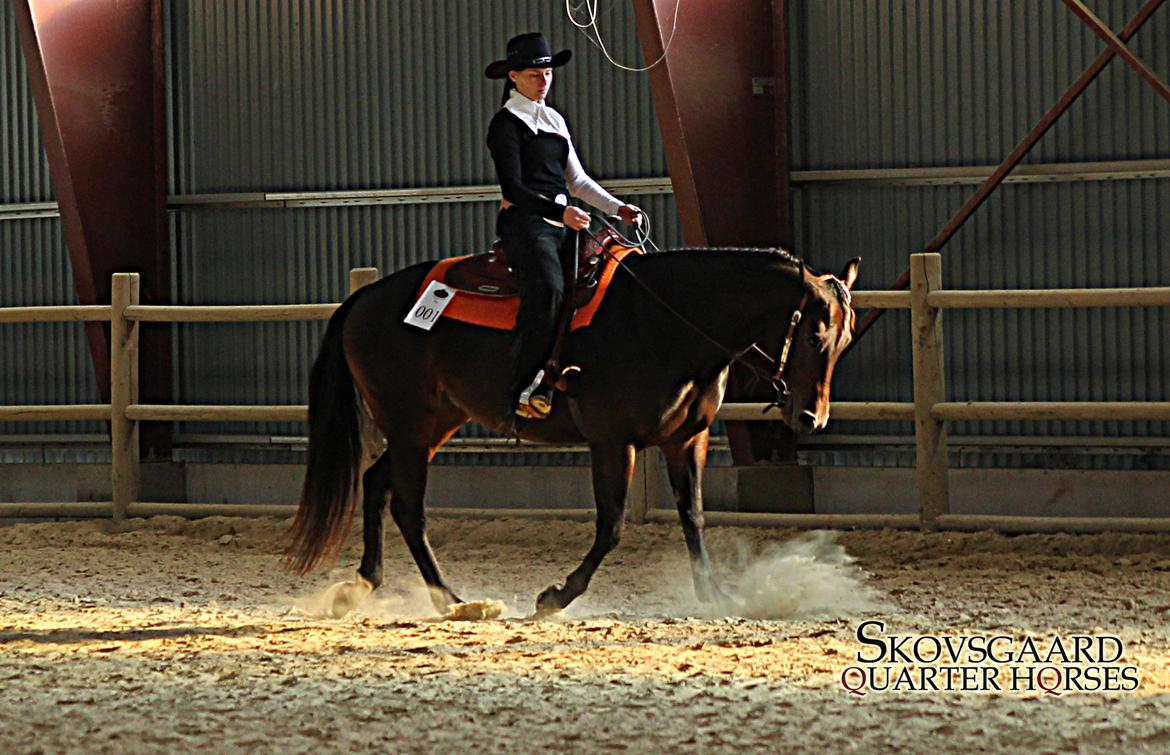 Quarter Timber Ranch Shilooh - JNT oktober 2012 
Jeg har sat vores gårdnavn på for neden, min veninde har taget billede med vores kamera. billede 16