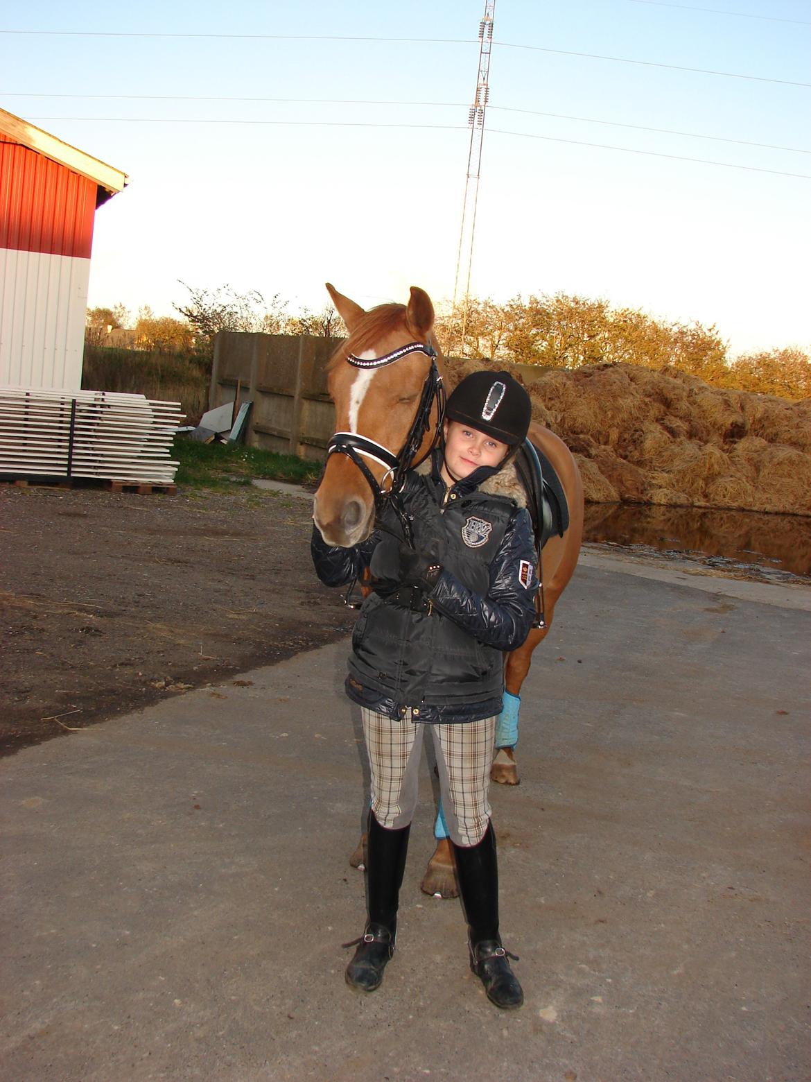 Anden særlig race Magic Zoe Si billede 3