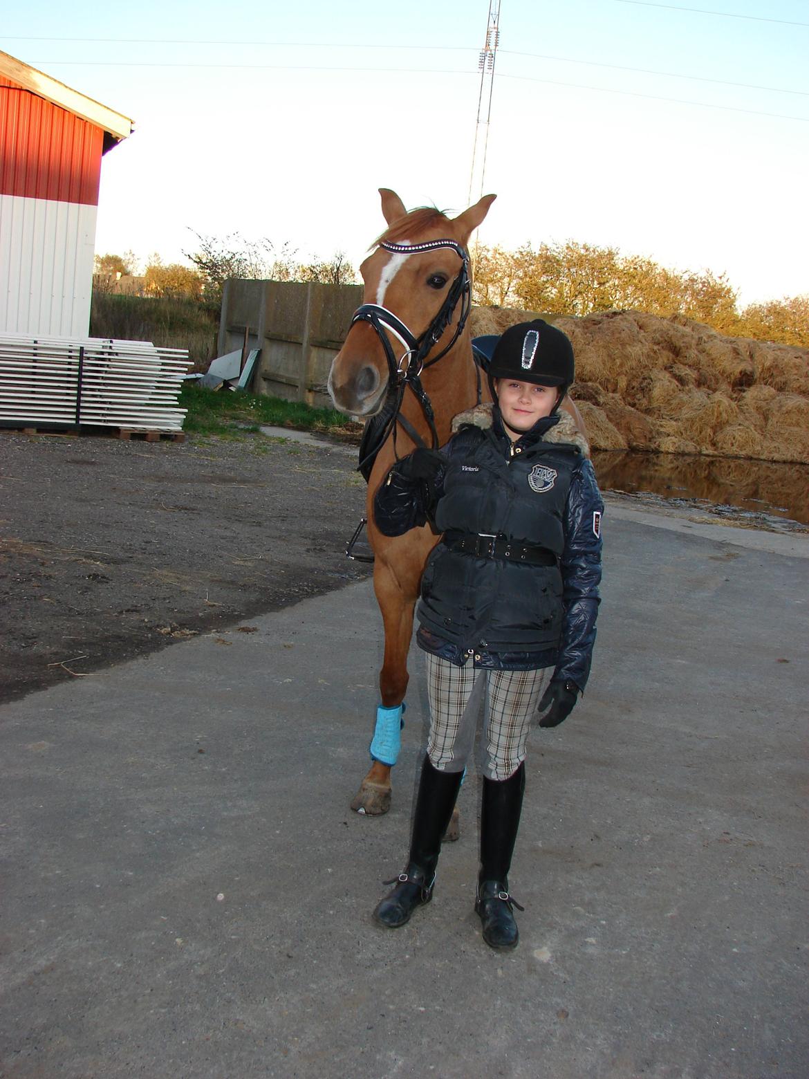 Anden særlig race Magic Zoe Si billede 4