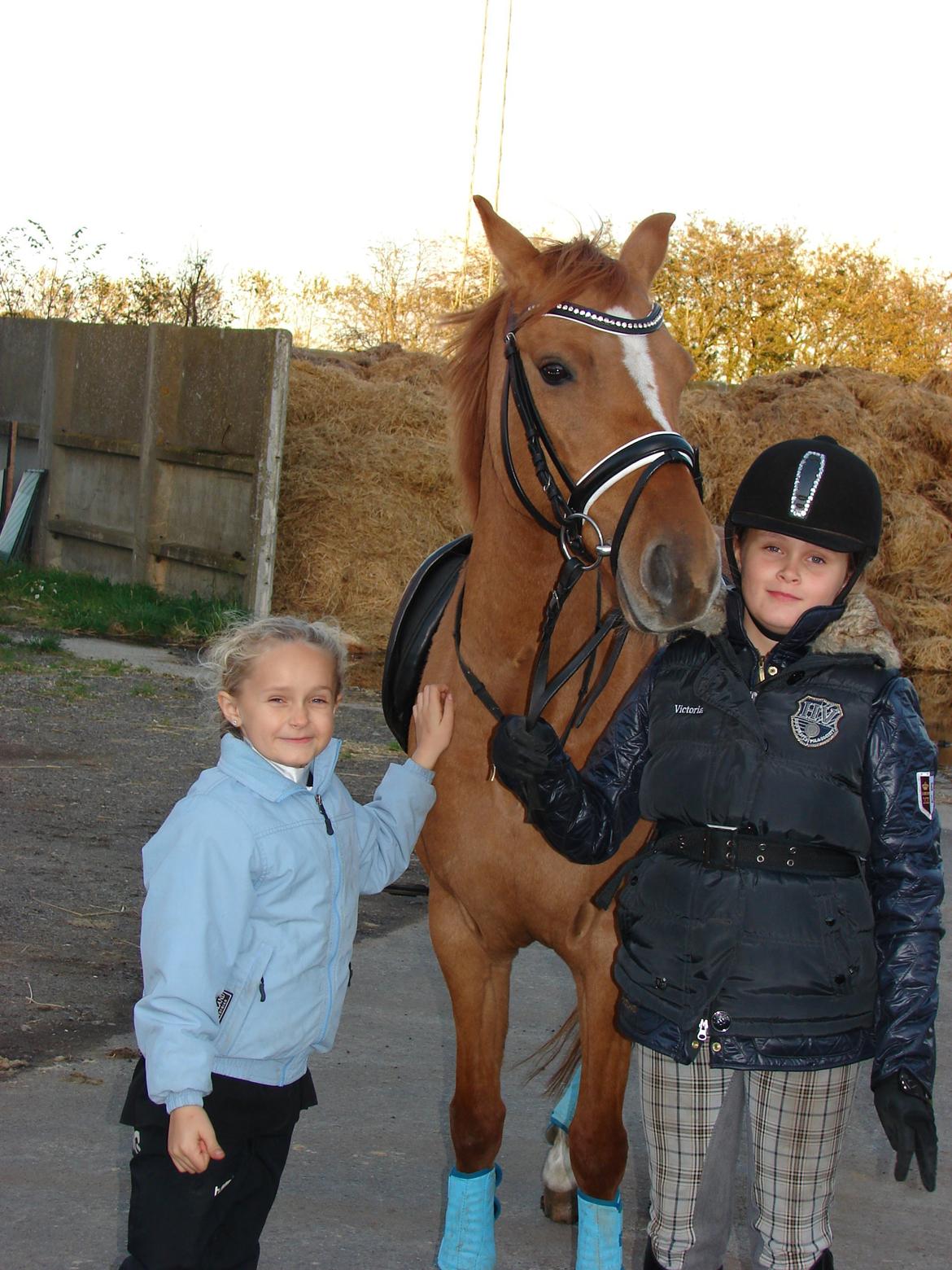 Anden særlig race Magic Zoe Si billede 5