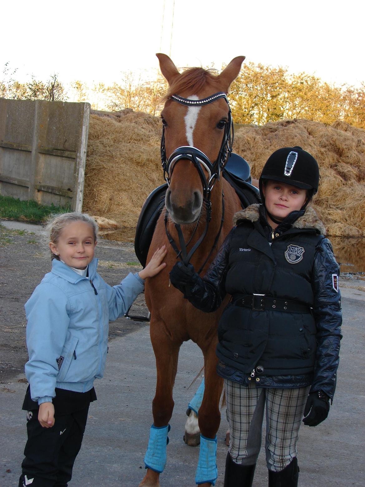 Anden særlig race Magic Zoe Si billede 6