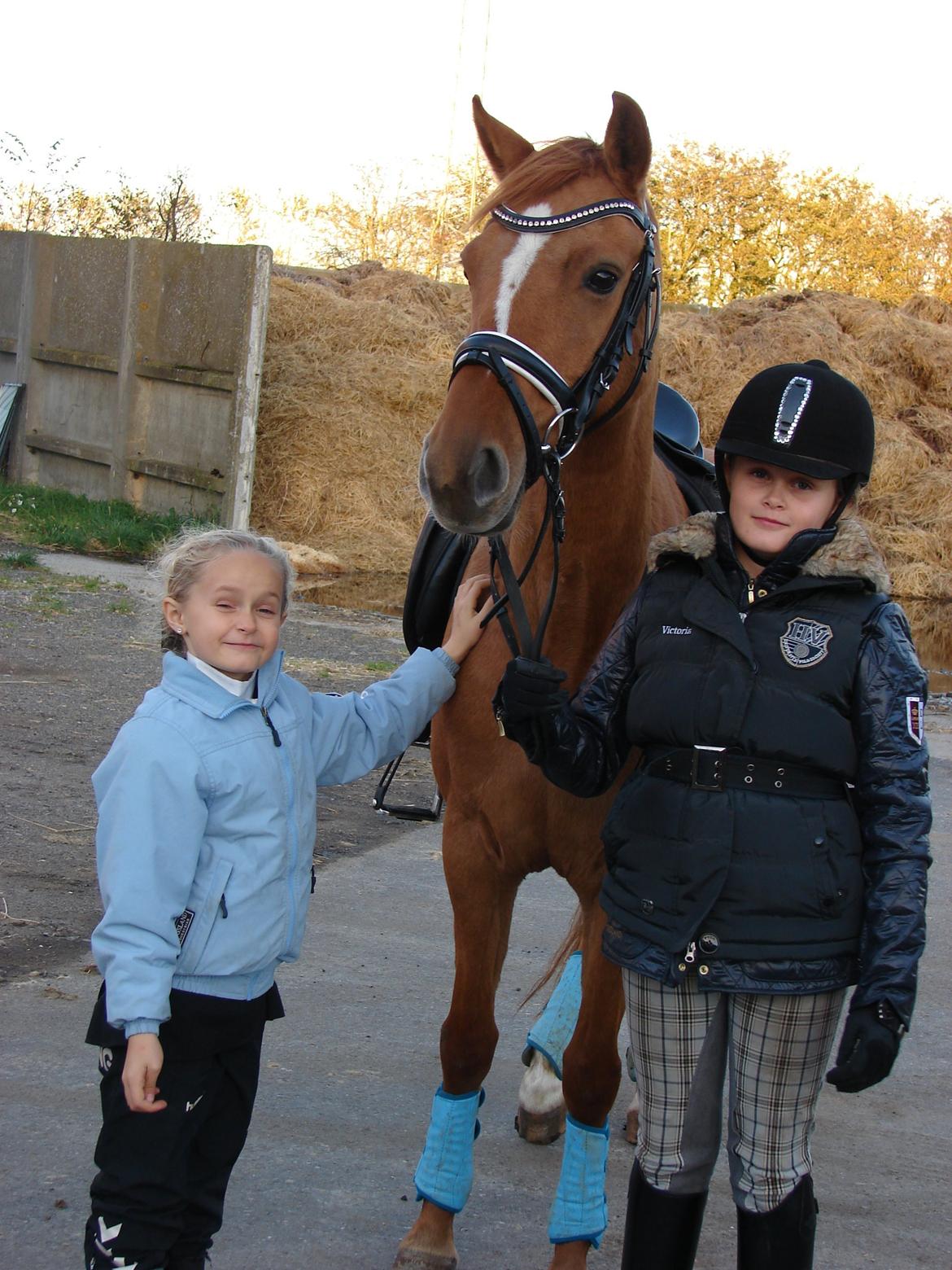 Anden særlig race Magic Zoe Si billede 7