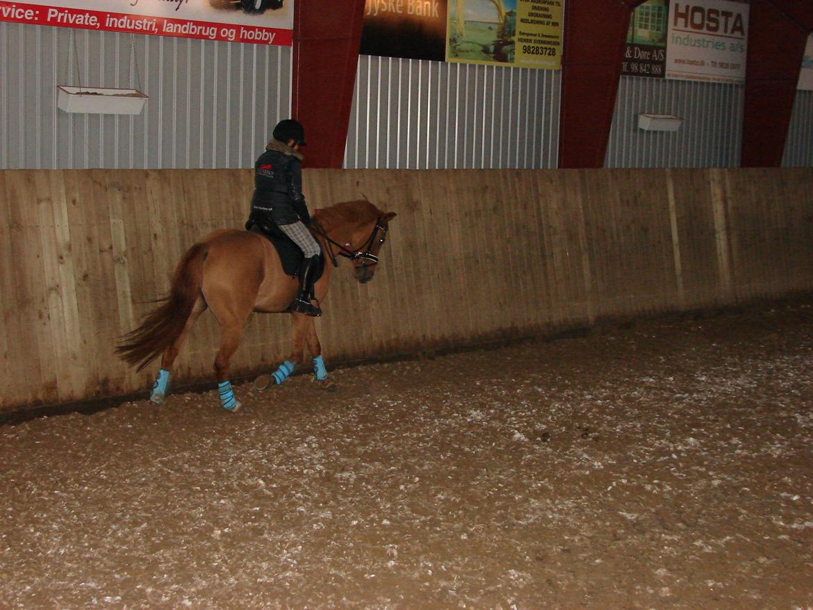 Anden særlig race Magic Zoe Si billede 9