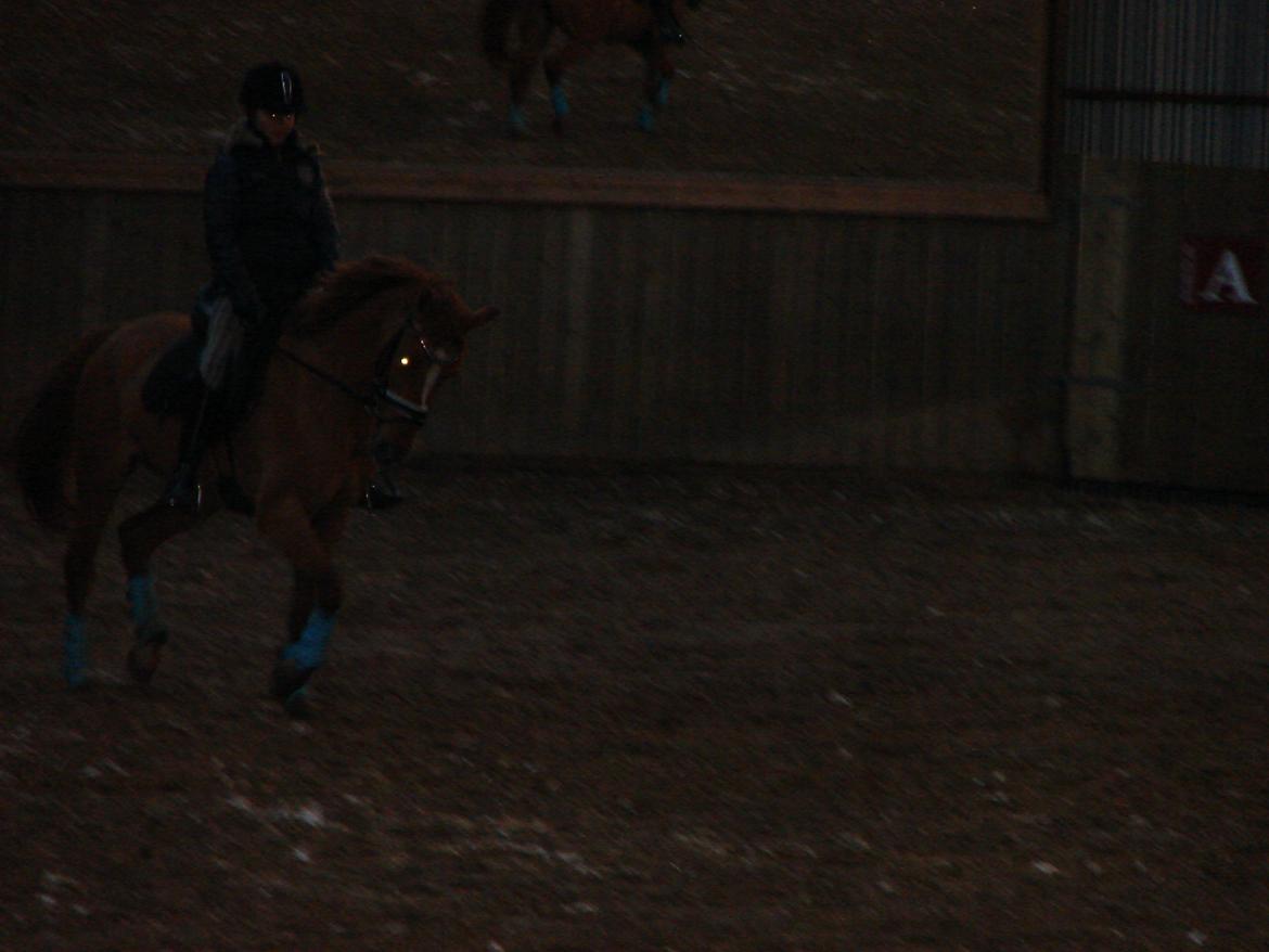 Anden særlig race Magic Zoe Si billede 10