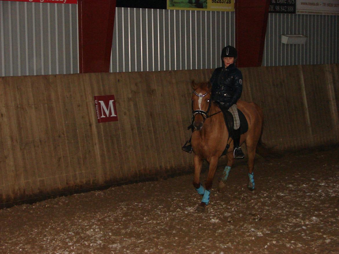 Anden særlig race Magic Zoe Si billede 13