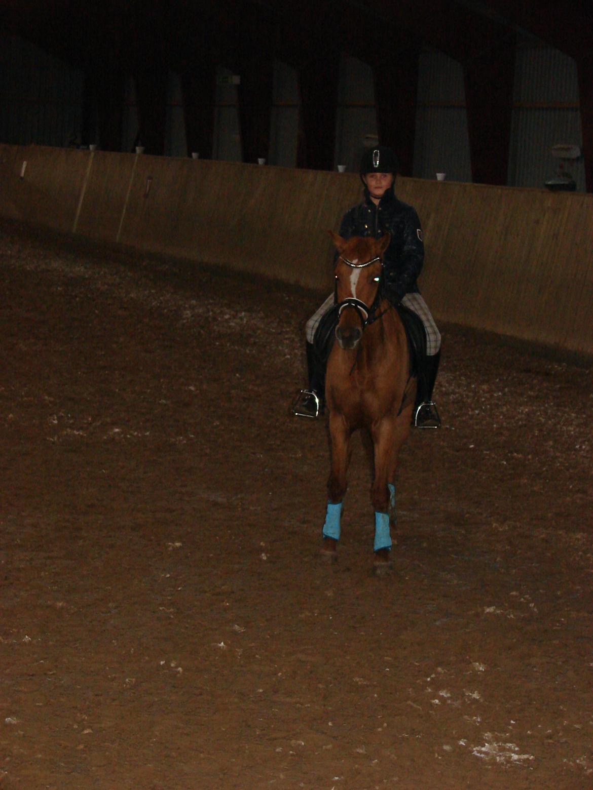 Anden særlig race Magic Zoe Si billede 14