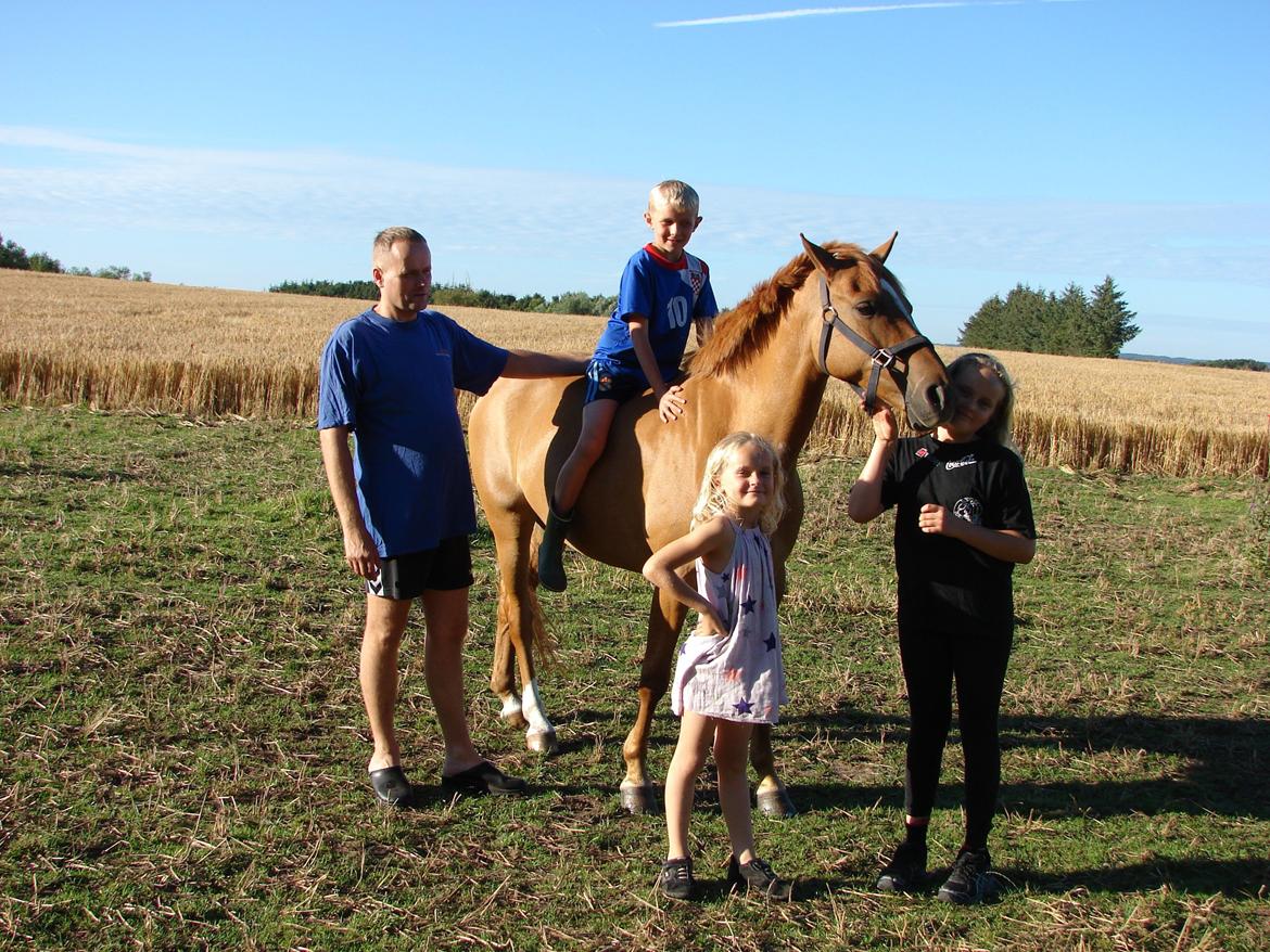 Anden særlig race Magic Zoe Si billede 15