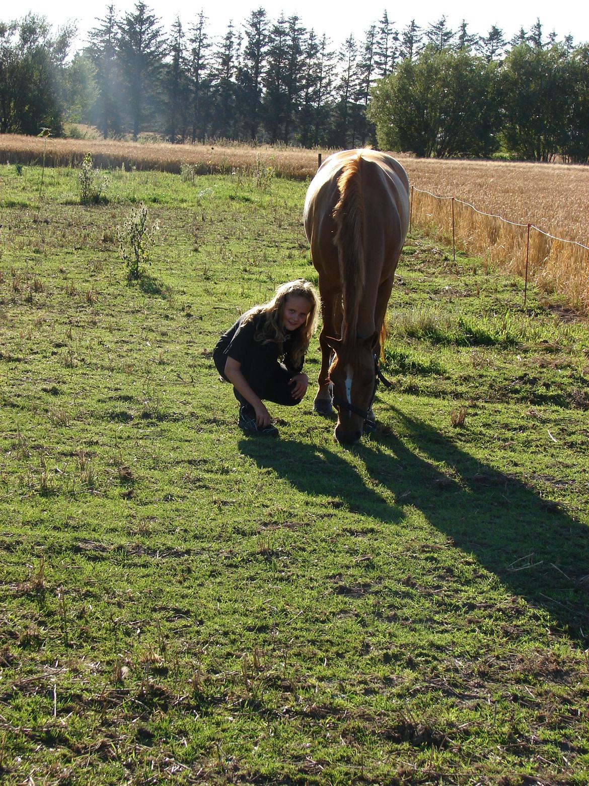 Anden særlig race Magic Zoe Si billede 16