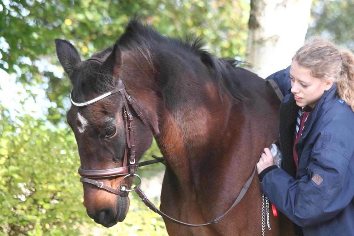 Traver Amadeo *R.I.P* billede 2