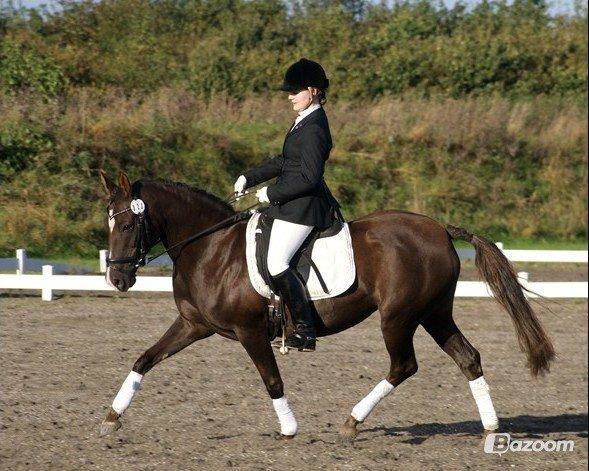 DSP Dutchy M - Dutchy og jeg til Championat på Lykkshøj. september 2012 billede 1