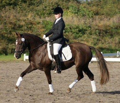 DSP Dutchy M - Dutchy og jeg til championat på lykkeshøj. September 2012. billede 3