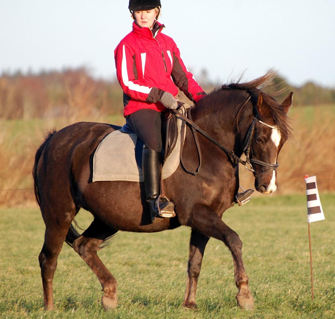 DSP Dutchy M - Dutchy og jeg en vinter dag i 2011. Dutchy er her i fol, og ude af form ;) billede 5