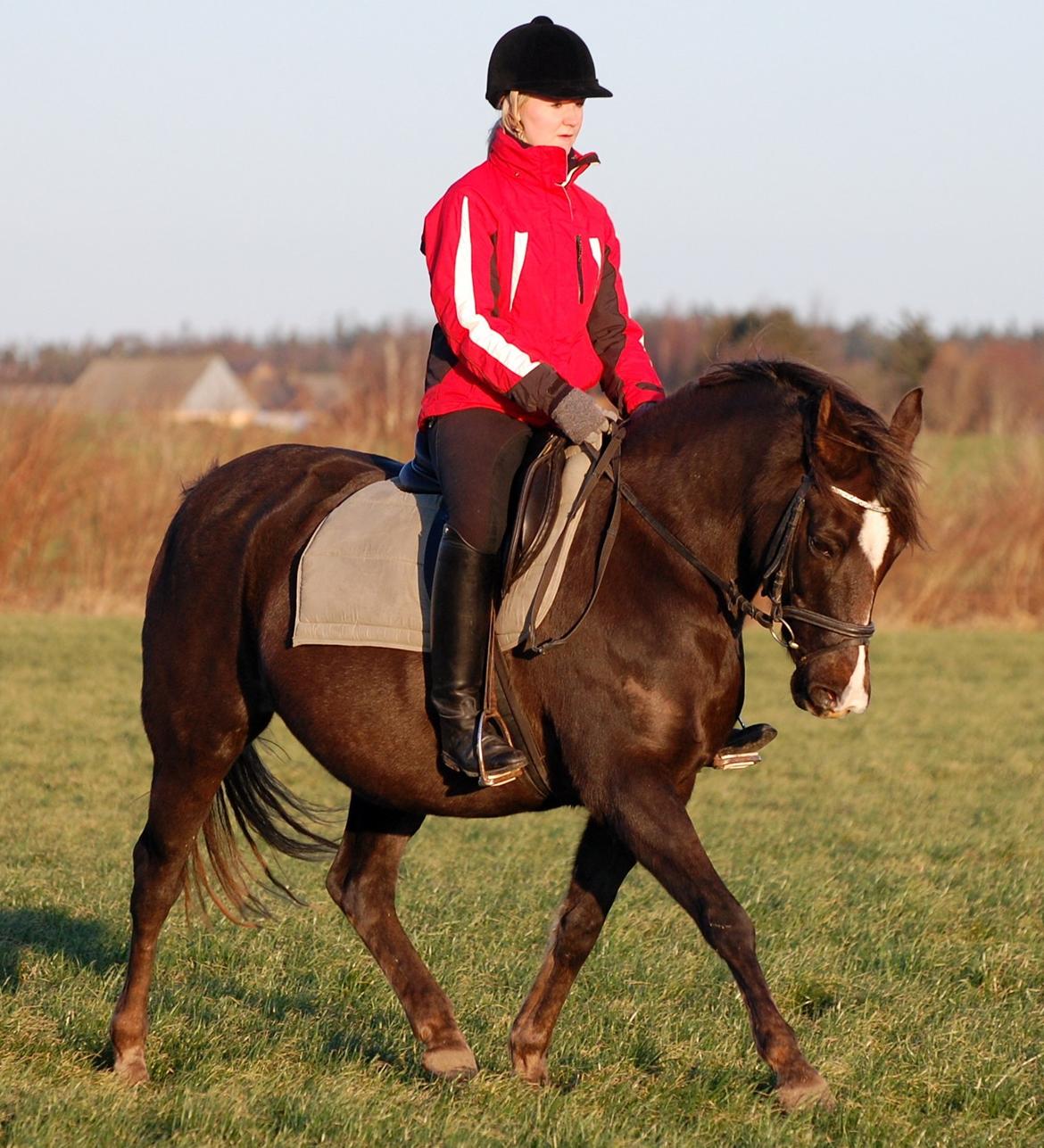 DSP Dutchy M - Dutchy og jeg en vinter dag i 2011. Dutchy er her i fol, og ude af form ;) billede 8