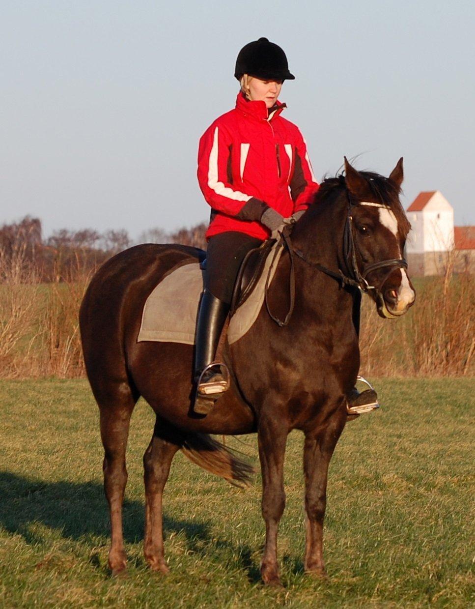 DSP Dutchy M - Dutchy og jeg en vinter dag i 2011. Dutchy er her i fol, og ude af form ;) billede 9