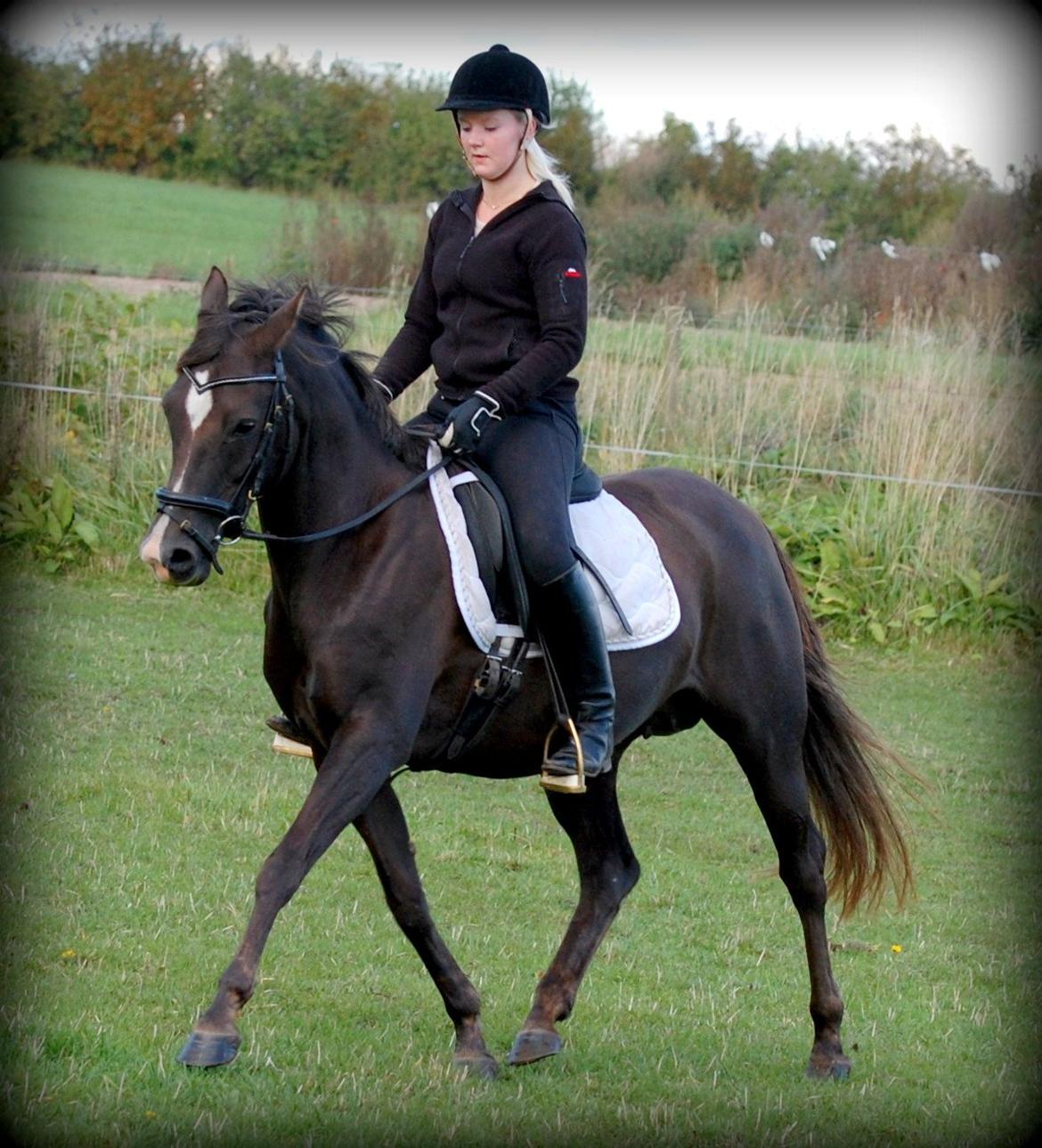 DSP Dutchy M - Træning oktober 2012 billede 10