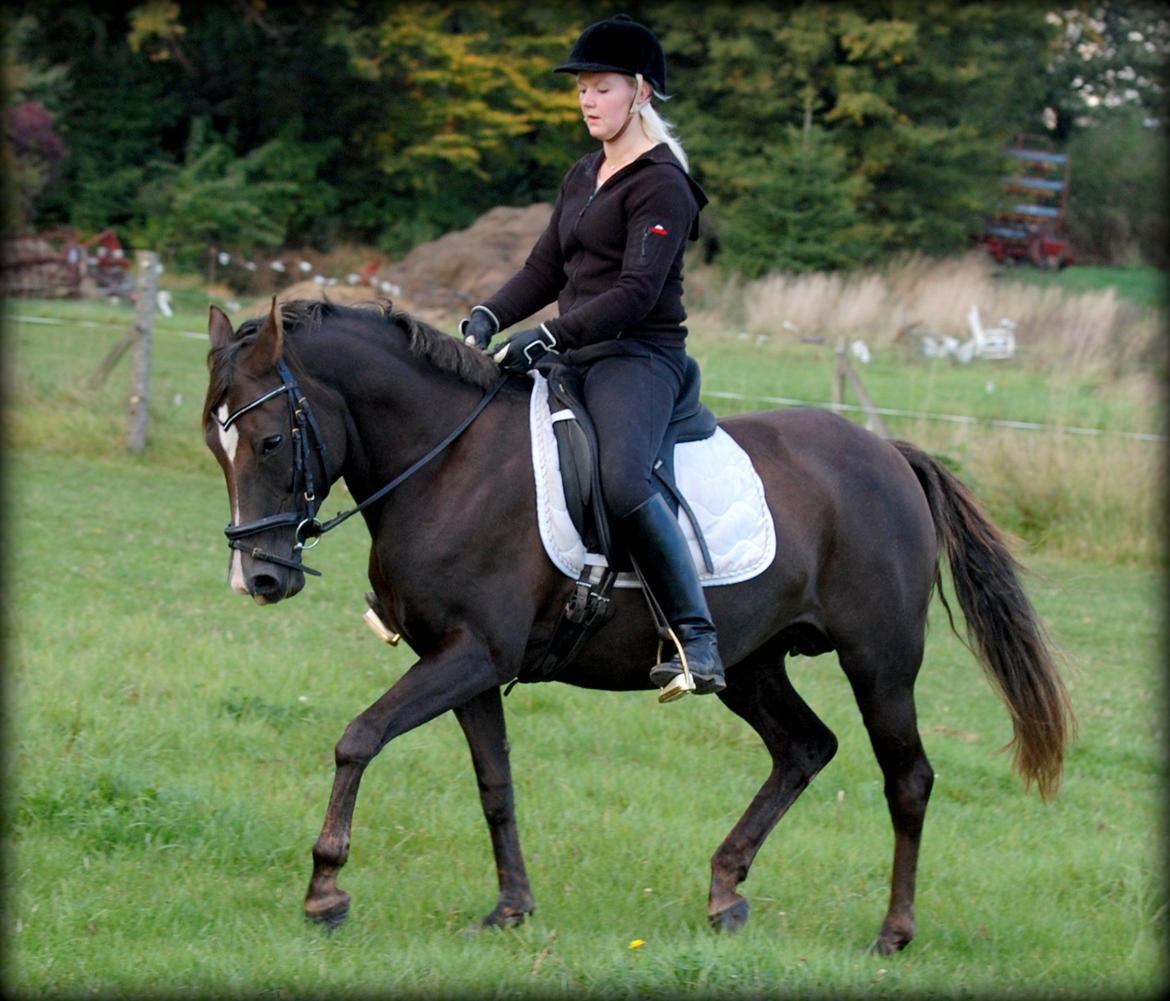 DSP Dutchy M - Træning oktober 2012 billede 11