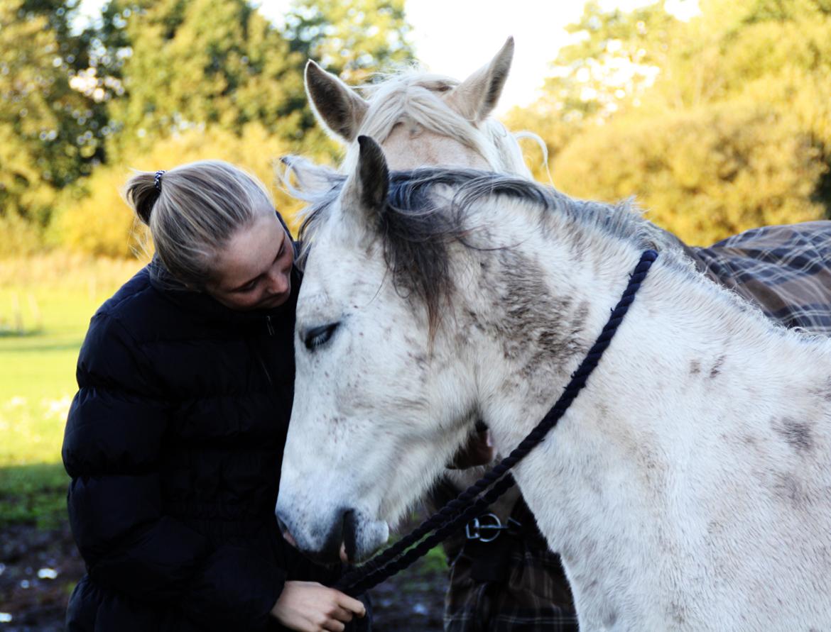 Anden særlig race Jody billede 15